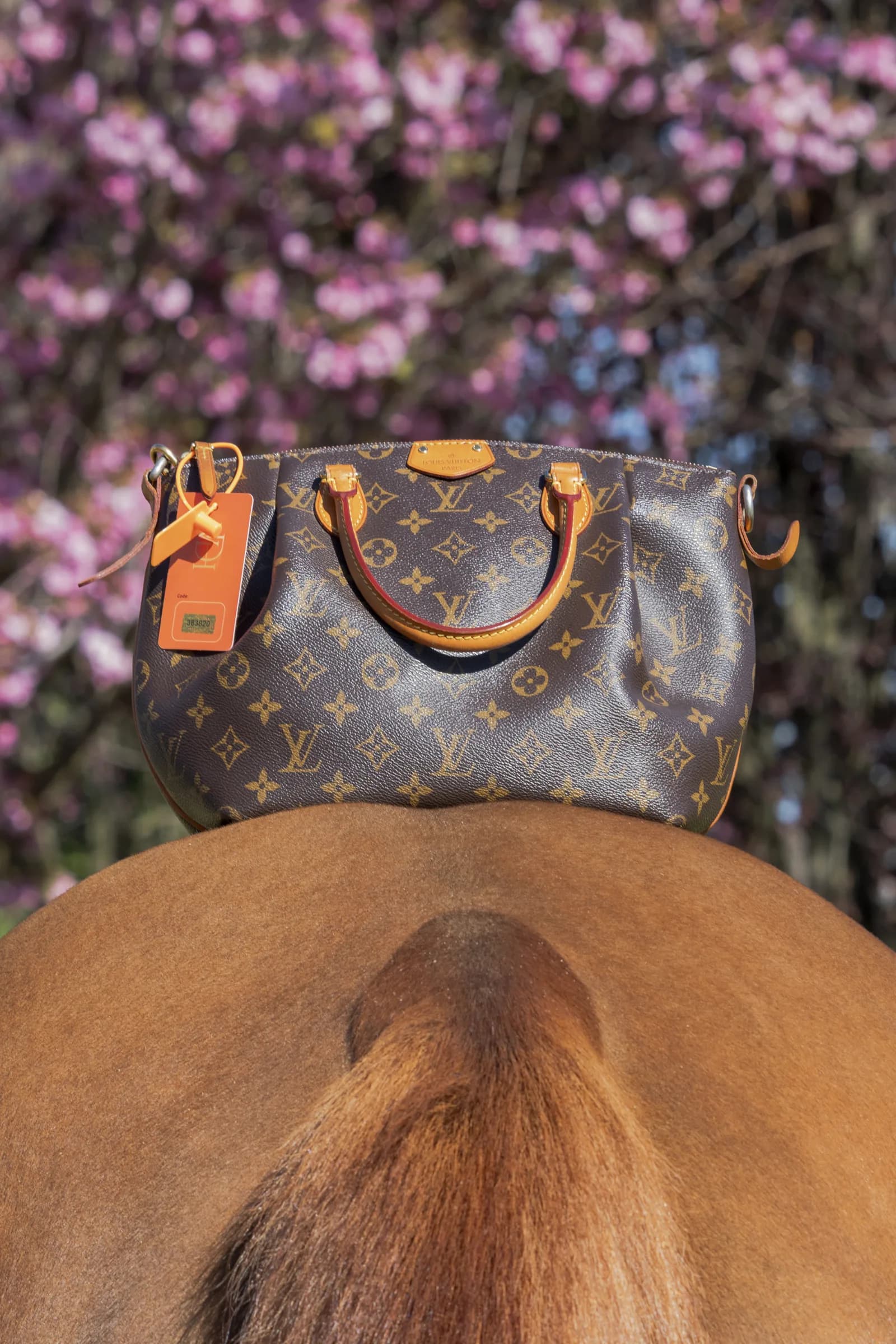 Louis Vuitton Speedy monogram posata sulla groppa di un cavallo, fiori di ciliegio